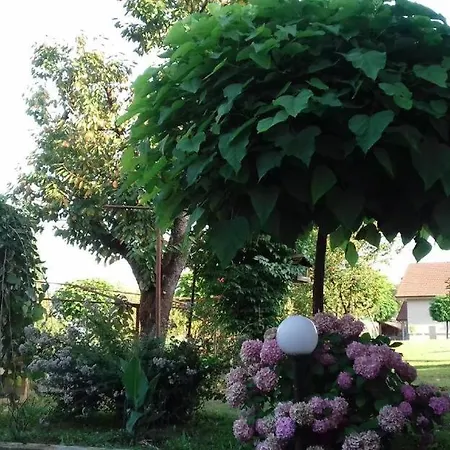 Apartma Krupa