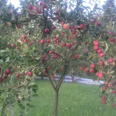 Apartma Krupa * Gradac