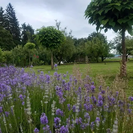 Apartma Krupa Lägenhet *