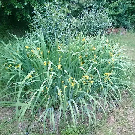 Apartma Krupa Gradac