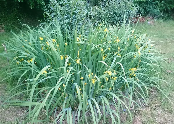 Apartma Krupa Gradac